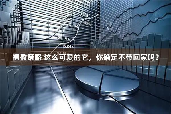 福盈策略 这么可爱的它，你确定不带回家吗？