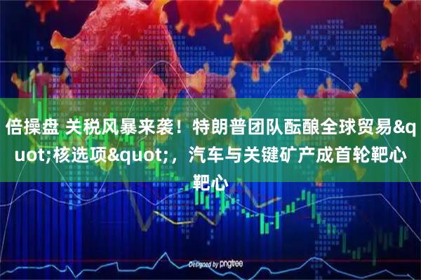 倍操盘 关税风暴来袭！特朗普团队酝酿全球贸易&quot;核选项&quot;，汽车与关键矿产成首轮靶心