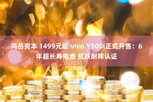 鸿岳资本 1499元起 vivo Y500i正式开售：6年超长寿电池 抗跌耐摔认证